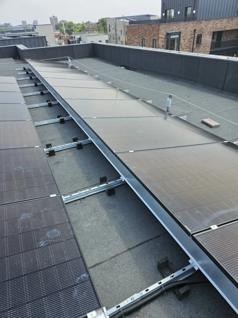 Buttar Image 5 1536x2048.jpg