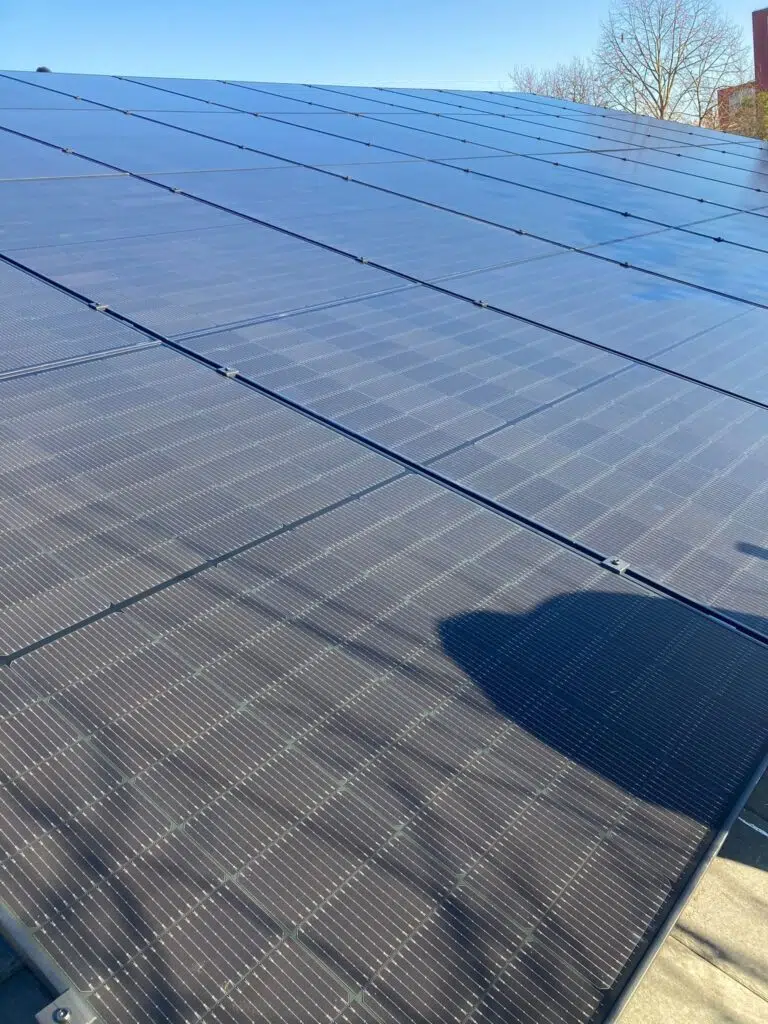 Lawrence Hill Img 4 768x1024.jpg