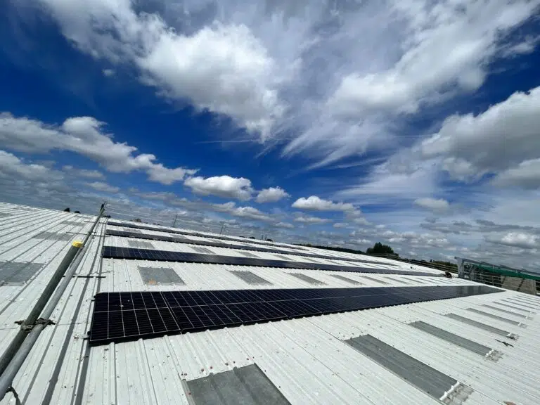 Sun Mark Image 3 768x576.jpg