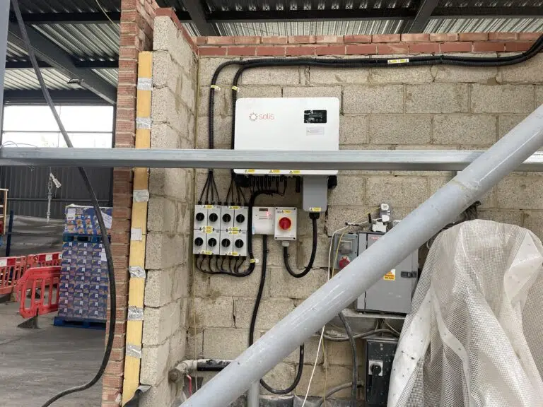 Sun Mark Image 5 768x576.jpg